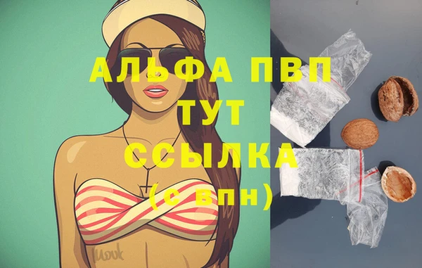 круглые Аркадак