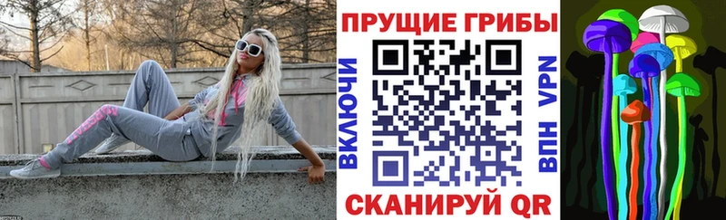 сколько стоит  Пошехонье  Галлюциногенные грибы Psilocybine cubensis 