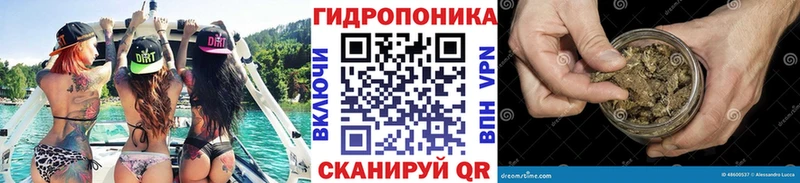 Бошки марихуана гибрид  shop состав  Пошехонье  blacksprut ССЫЛКА 